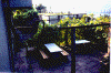 wpe23830.gif (119835 byte)