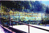 wpe61252.gif (166258 byte)