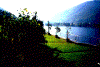 wpe72722.gif (121454 byte)